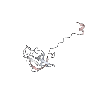 20048_6ofx_Q_v1-2
Non-rotated ribosome (Structure I)