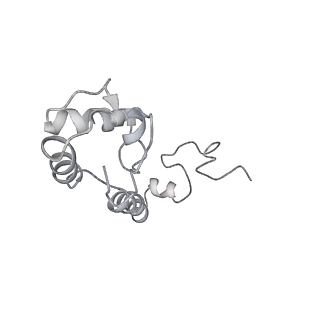 20048_6ofx_R_v1-1
Non-rotated ribosome (Structure I)