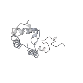 20048_6ofx_R_v1-2
Non-rotated ribosome (Structure I)