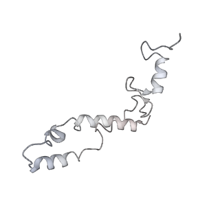 20048_6ofx_S_v1-1
Non-rotated ribosome (Structure I)