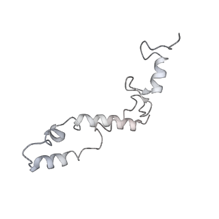 20048_6ofx_S_v1-2
Non-rotated ribosome (Structure I)