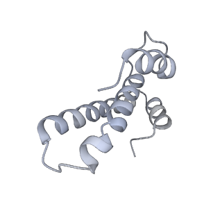 20048_6ofx_T_v1-1
Non-rotated ribosome (Structure I)