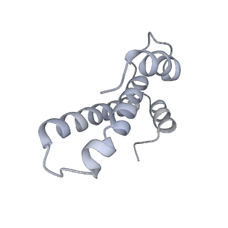 20048_6ofx_T_v1-2
Non-rotated ribosome (Structure I)