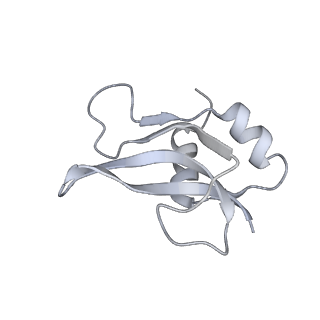 20048_6ofx_U_v1-1
Non-rotated ribosome (Structure I)