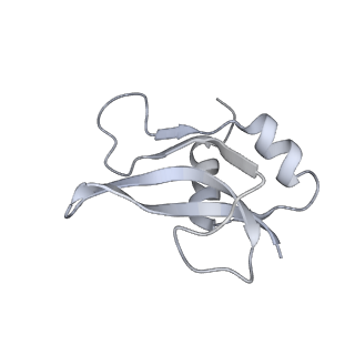 20048_6ofx_U_v1-2
Non-rotated ribosome (Structure I)