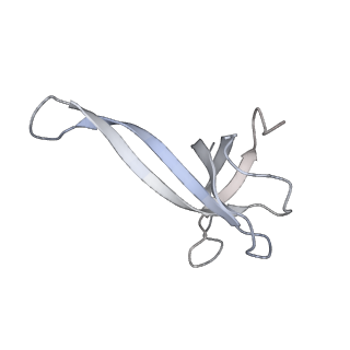 20048_6ofx_V_v1-1
Non-rotated ribosome (Structure I)