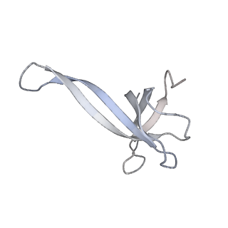 20048_6ofx_V_v1-2
Non-rotated ribosome (Structure I)