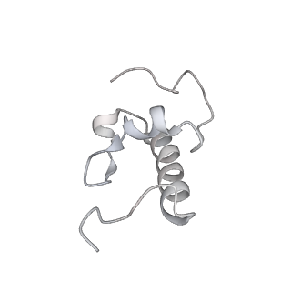 20048_6ofx_W_v1-1
Non-rotated ribosome (Structure I)