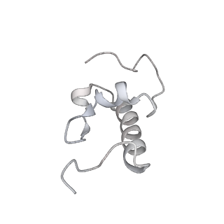 20048_6ofx_W_v1-2
Non-rotated ribosome (Structure I)