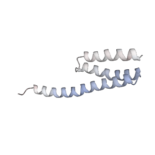 20048_6ofx_Y_v1-1
Non-rotated ribosome (Structure I)