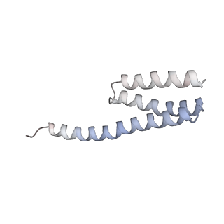 20048_6ofx_Y_v1-2
Non-rotated ribosome (Structure I)