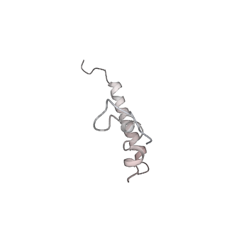 20048_6ofx_Z_v1-1
Non-rotated ribosome (Structure I)
