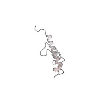 20048_6ofx_Z_v1-2
Non-rotated ribosome (Structure I)