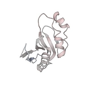 20048_6ofx_a_v1-1
Non-rotated ribosome (Structure I)
