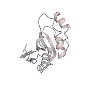 20048_6ofx_a_v1-2
Non-rotated ribosome (Structure I)