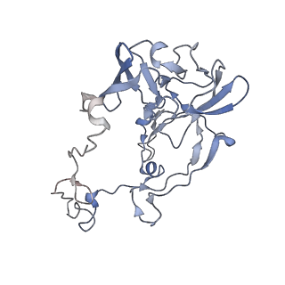 20048_6ofx_b_v1-1
Non-rotated ribosome (Structure I)