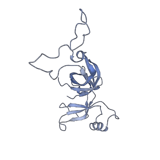 20048_6ofx_c_v1-2
Non-rotated ribosome (Structure I)