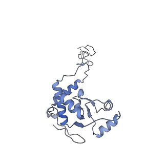20048_6ofx_d_v1-1
Non-rotated ribosome (Structure I)