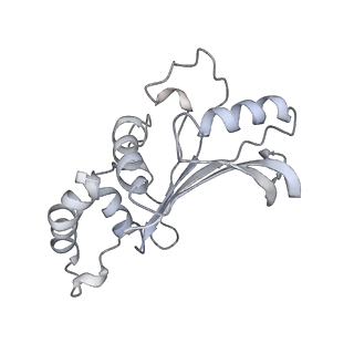 20048_6ofx_e_v1-1
Non-rotated ribosome (Structure I)