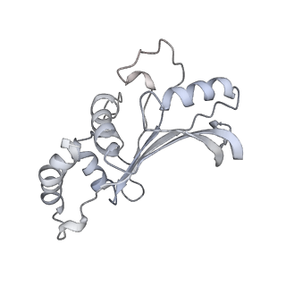 20048_6ofx_e_v1-2
Non-rotated ribosome (Structure I)