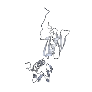 20048_6ofx_f_v1-1
Non-rotated ribosome (Structure I)