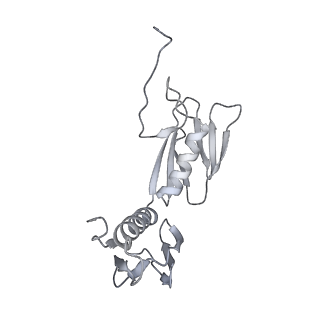 20048_6ofx_f_v1-2
Non-rotated ribosome (Structure I)