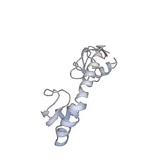 20048_6ofx_g_v1-1
Non-rotated ribosome (Structure I)