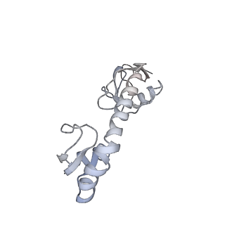 20048_6ofx_g_v1-2
Non-rotated ribosome (Structure I)