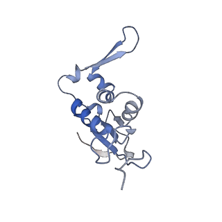 20048_6ofx_j_v1-1
Non-rotated ribosome (Structure I)