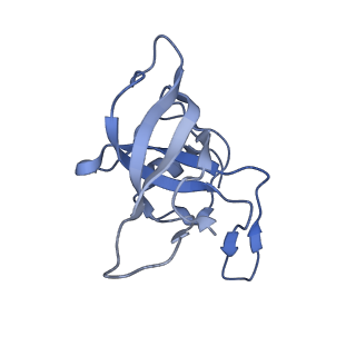 20048_6ofx_k_v1-1
Non-rotated ribosome (Structure I)