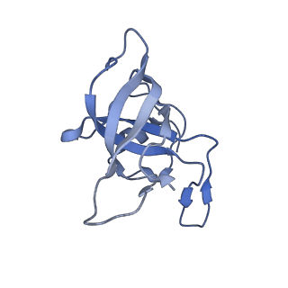 20048_6ofx_k_v1-2
Non-rotated ribosome (Structure I)