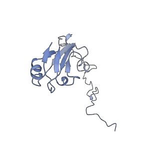 20048_6ofx_l_v1-1
Non-rotated ribosome (Structure I)