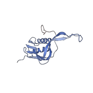 20048_6ofx_m_v1-1
Non-rotated ribosome (Structure I)