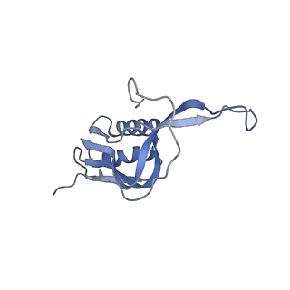 20048_6ofx_m_v1-2
Non-rotated ribosome (Structure I)