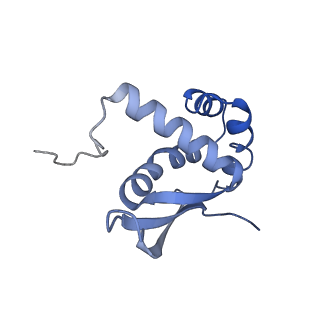 20048_6ofx_n_v1-1
Non-rotated ribosome (Structure I)