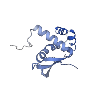 20048_6ofx_n_v1-2
Non-rotated ribosome (Structure I)