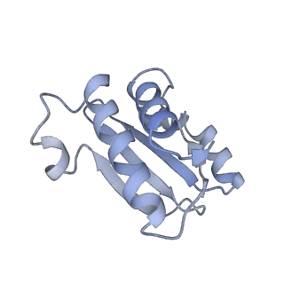 20048_6ofx_o_v1-1
Non-rotated ribosome (Structure I)