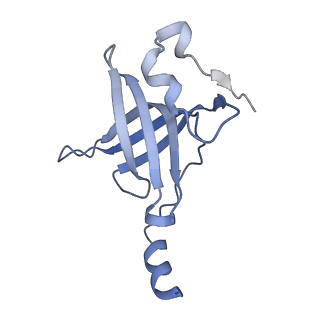 20048_6ofx_p_v1-1
Non-rotated ribosome (Structure I)