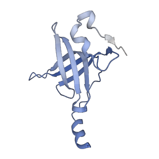 20048_6ofx_p_v1-2
Non-rotated ribosome (Structure I)