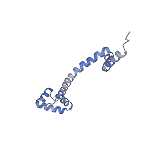 20048_6ofx_q_v1-1
Non-rotated ribosome (Structure I)