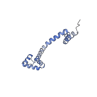 20048_6ofx_q_v1-2
Non-rotated ribosome (Structure I)