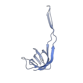 20048_6ofx_r_v1-1
Non-rotated ribosome (Structure I)