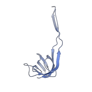 20048_6ofx_r_v1-2
Non-rotated ribosome (Structure I)