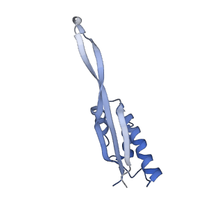 20048_6ofx_s_v1-1
Non-rotated ribosome (Structure I)