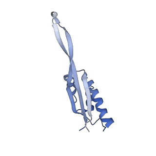 20048_6ofx_s_v1-2
Non-rotated ribosome (Structure I)