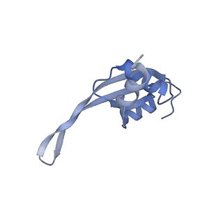 20048_6ofx_t_v1-1
Non-rotated ribosome (Structure I)