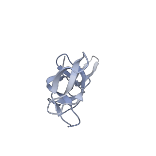 20048_6ofx_u_v1-2
Non-rotated ribosome (Structure I)