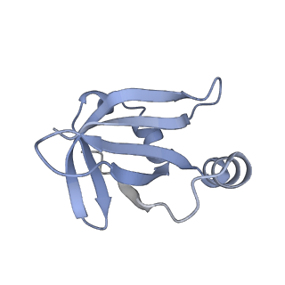 20048_6ofx_v_v1-1
Non-rotated ribosome (Structure I)