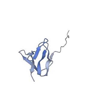 20048_6ofx_w_v1-1
Non-rotated ribosome (Structure I)
