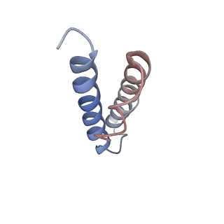 20048_6ofx_y_v1-1
Non-rotated ribosome (Structure I)